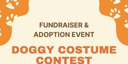 GSB Costume Contest and Adoption Event