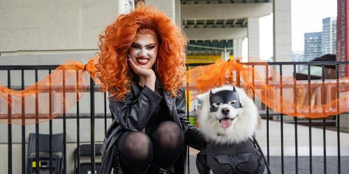Howl'oween at The Bentway