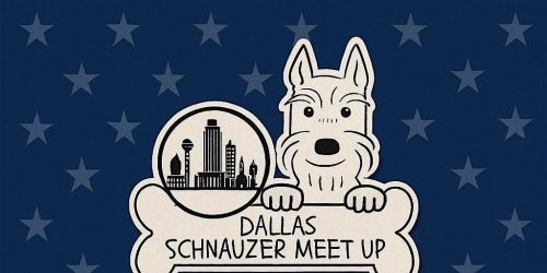 Schnauzer Halloween Costume Party|Dallas Schnauzer Meet Up!