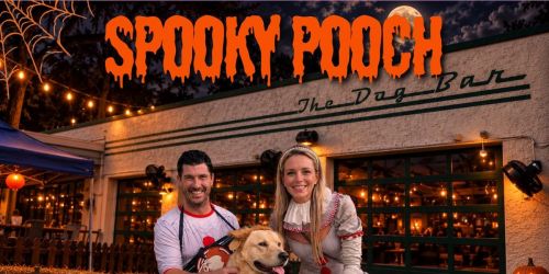Spooky Pooch 