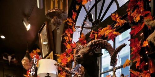 Dark Matter Oddities | 7th Annual Anniversary Celebration