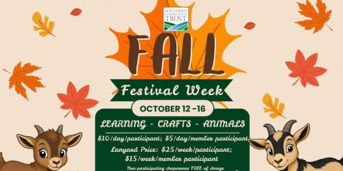 Fall Festival Week at the Nature Center