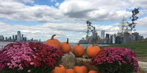 Queer Out! Free Day Trip: Governor's Island Pumpkin Patch