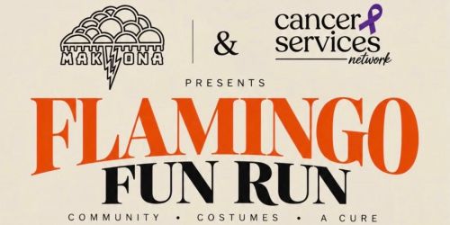 Flamingo Fun Run