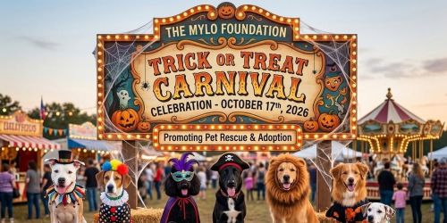 Spooky Halloween Carnival - Trick or Treat