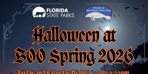 Halloween at BOO Spring