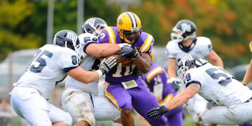Campbell Fighting Camels at Albany Great Danes Football