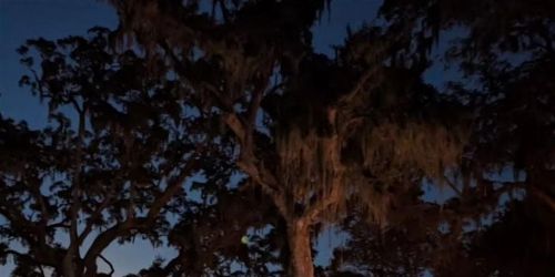 Bonaventure Cemetery After Dark Lantern Tour (Special Sunday Eve)