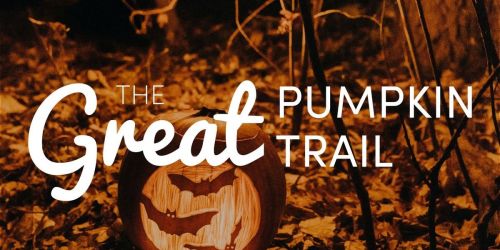 The Great Pumpkin Trail