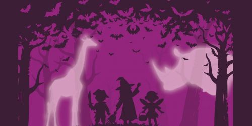 Spooktacular: Sensory-Friendly Night