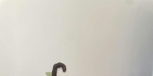 Jack O Lantern- Needle Felting Create and Sip Event