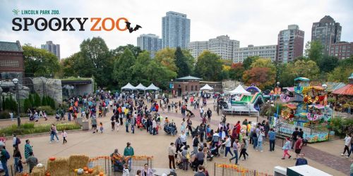 Spooky Zoo 