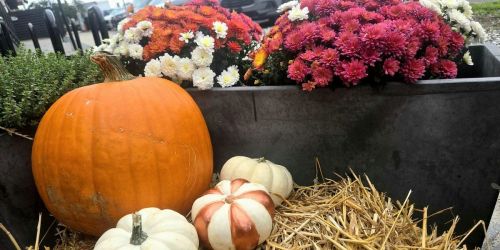 APD Pumpkin Carving Party