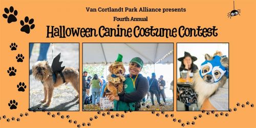 Annual Canine Costume Contest