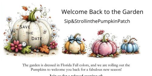 Sip & Stroll in the Pumpkin Patch