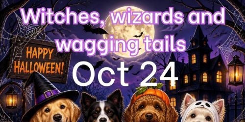 Witches, wizards and wagging tails