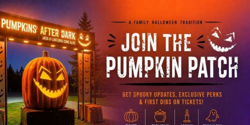 Pumpkins After Dark at Alameda County Fairgrounds
