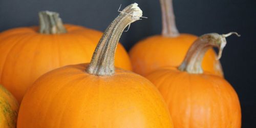 Cimarron and Hillpointe Fall Festival