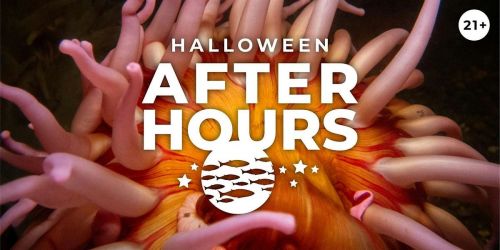 After Hours Premier: Halloween