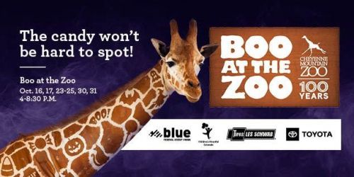 October Events at CMZoo