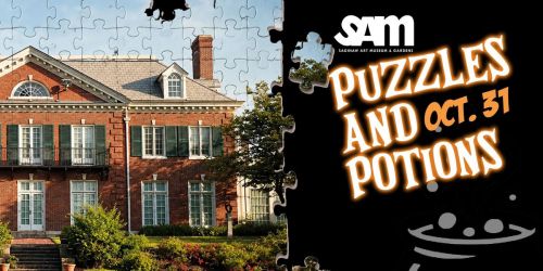 Puzzles & Potions