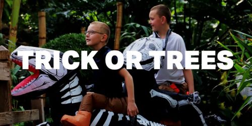 Trick or Trees