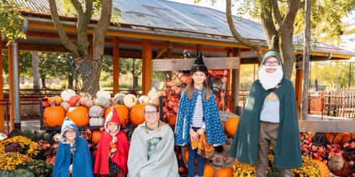 Pumpkin Path presented by Dei Fratelli Hirzel Canning Co. & Farms  