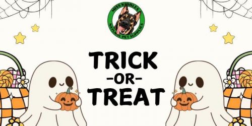 Halloween Trick-or-Treat for Dogs at Miss Kibbles