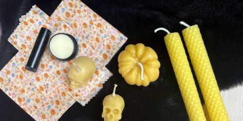 Wildflower Halloween Honey Bees Wax  Workshop
