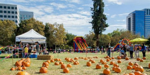 Volunteer at Pumpkins in the Park 2026