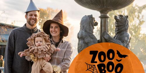 Zoo Boo