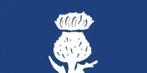 Little Thistle Halloween Event