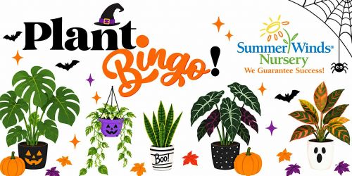 Halloween Plant Bingo at SummerWinds Nursery in Phoenix, AZ