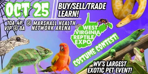 West Virginia Reptile Expo - Huntington 