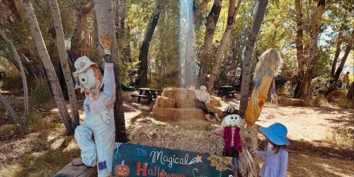 Farmfest Saturday October 24, 10-2pm