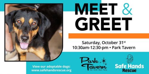 Safe Hands Rescue Meet & Greet at Park Tavern