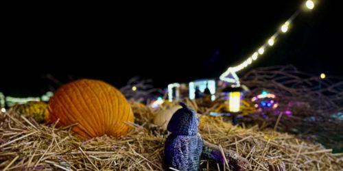 Haints and Haunts