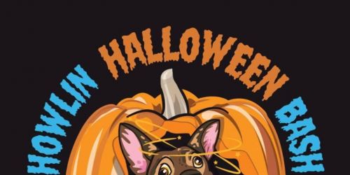 The Distracted Dog - 2nd Annual Howlin' Halloween Bash