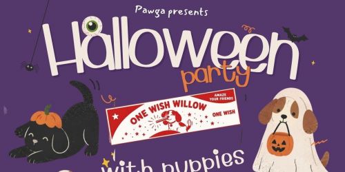 Pawga's Halloween party w. Puppies
