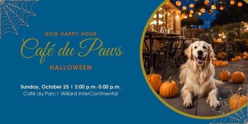 Cafe du Paws Halloween | Dog Happy Hour