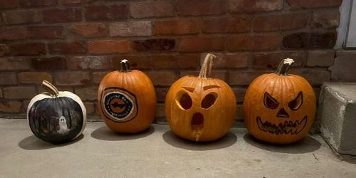 Pumpkin Carving & Painting
