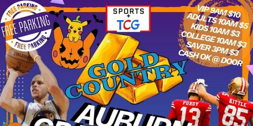 Auburn Grass Valley Nevada City Sports Cards & Pok\u00e9mon TCG Costume Expo