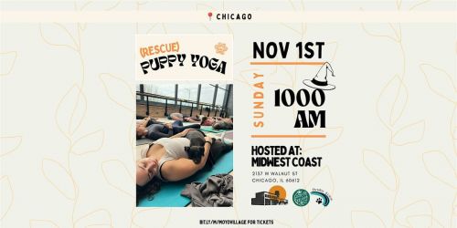 Barks & Brews Halloween: Rescue Puppy Yoga at Midwest Coast Brewing