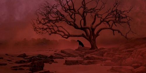 Film | Halloween Double Feature: Cat People
