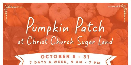 Photo Day at the Pumpkin Patch!