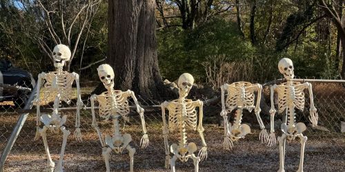 2026 Little 5 Points Halloween Festival & Parade - FREE EVENT