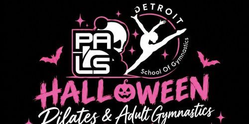 DSG x Pal Studios Presents: The Haunted Playground Fundraiser