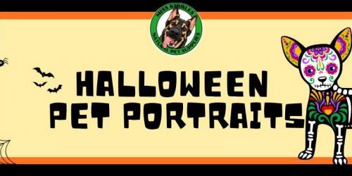 Halloween Pet Photos at Miss Kibbles