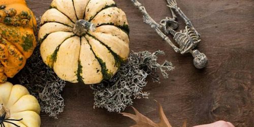 Halloween Wreath Making at Souter Lighthouse, South Tyneside