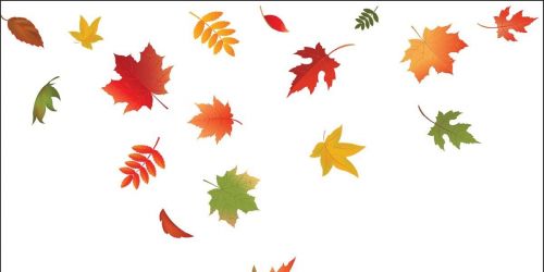 Fall into Fun 